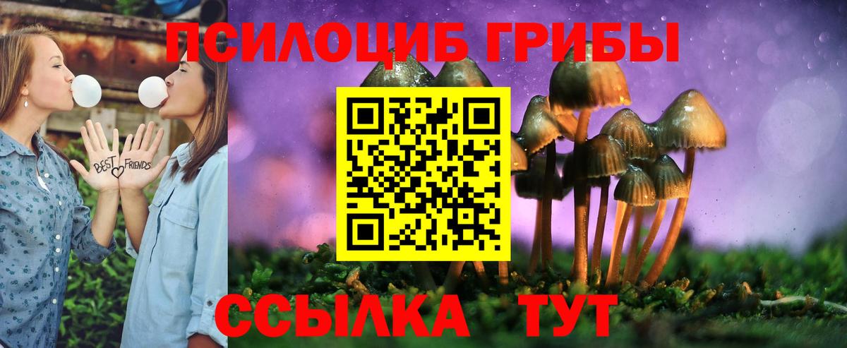 Галлюциногенные грибы прущие грибы  Вход с VPN  Выкса 